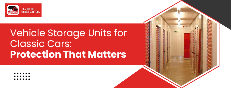 Vehicle Storage Units